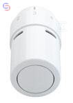 OGRANICZNIK TEMP.POWROTU RTX, CHROM DANFOSS