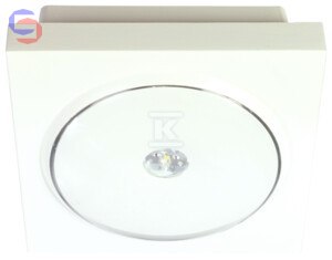 RP-TECHNIK OPRAWA AWARYJNA IP65 ILDR029ML 0,11kg 100x36mm