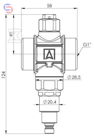 AFRISO AAV 100 Zawór antyzamrożeniowy G1" PN10 Kvs55